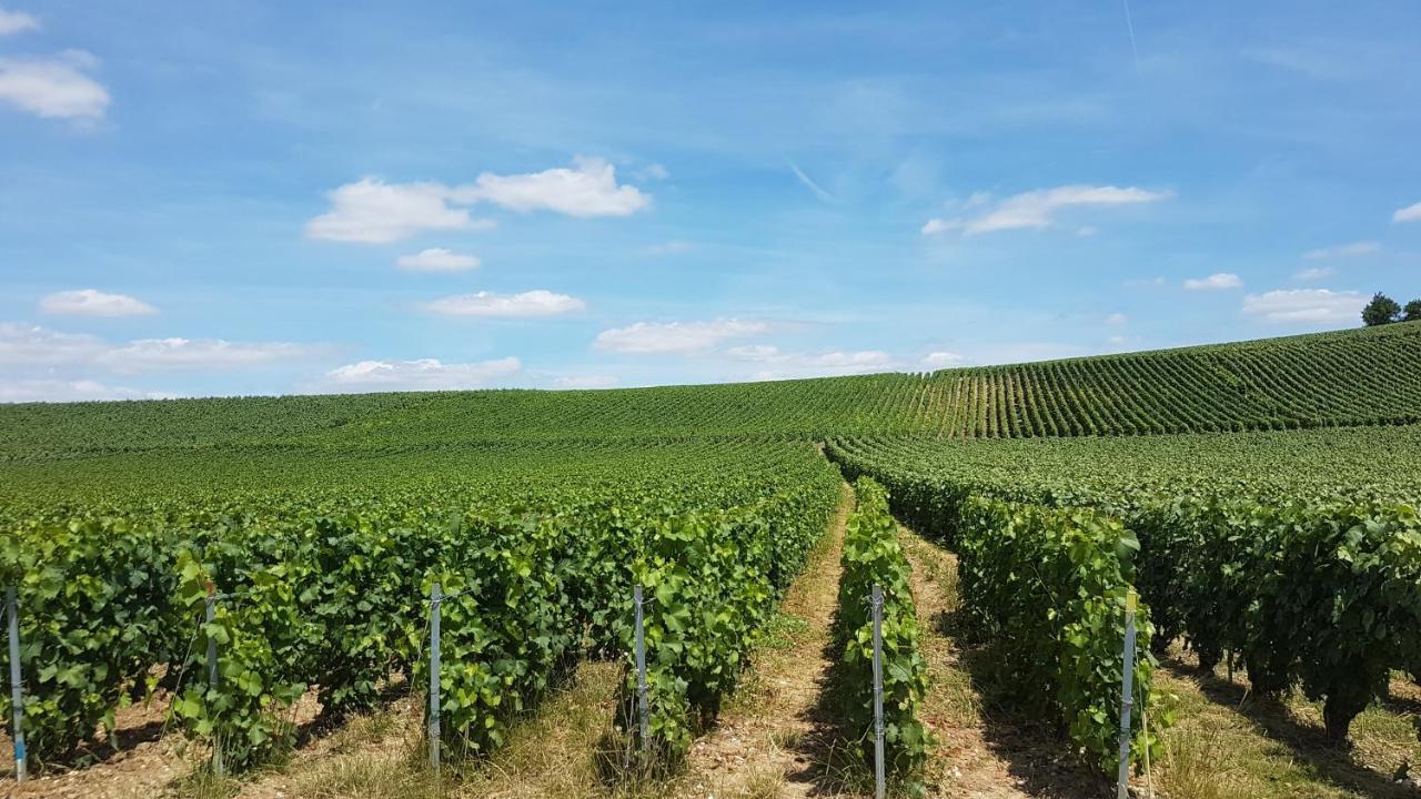 Enjoy En Champagne Maison Calme Au Milieu Du Vignoble Avec Parking Gratuit Dormans المظهر الخارجي الصورة