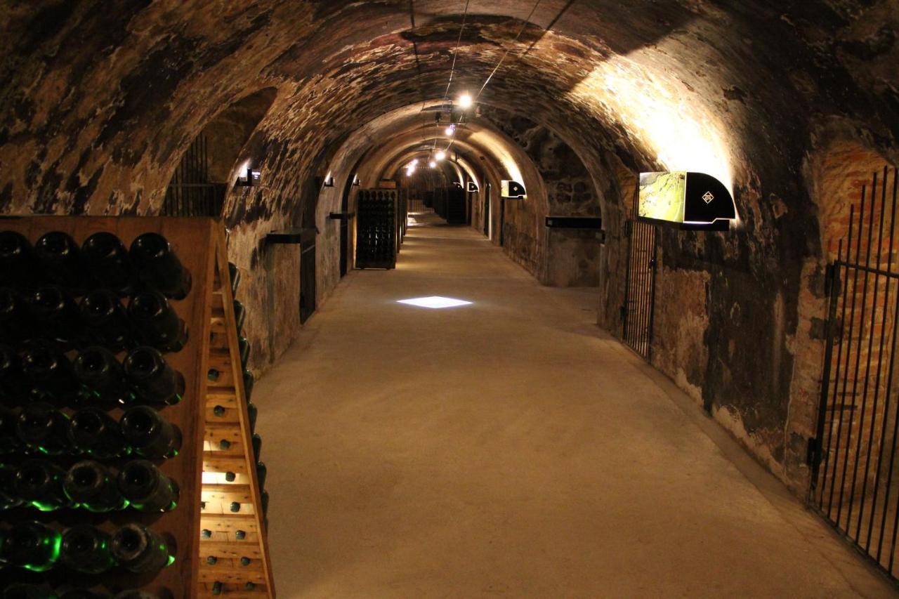 Enjoy En Champagne Maison Calme Au Milieu Du Vignoble Avec Parking Gratuit Dormans المظهر الخارجي الصورة