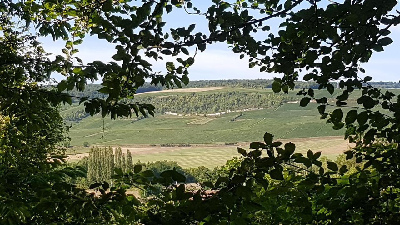 Enjoy En Champagne Maison Calme Au Milieu Du Vignoble Avec Parking Gratuit Dormans المظهر الخارجي الصورة